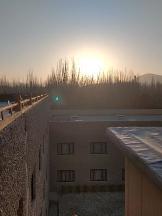 不呆猫个人资料,精彩作品一览