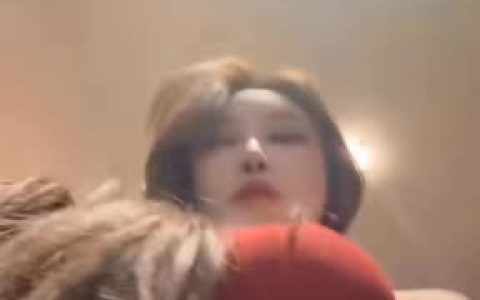 森萝财团和紧急企划以及少女秩序三家有关系吗，揭秘内部定制