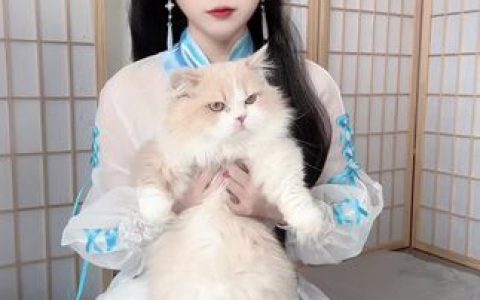 不呆猫吉他妹妹COS，碰触不到的美好瞬间