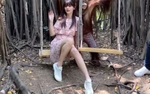 就是阿朱啊的婚礼筹备，分享她的婚礼计划