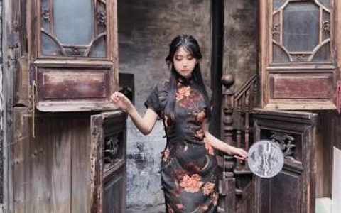 不呆猫_灰丝御姐套图，全部付费下载资源分享