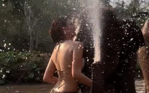 就是阿朱啊的真实姓名是什么？，揭秘阿朱的本名