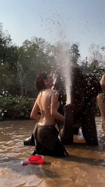 就是阿朱啊的真实姓名是什么?,揭秘阿朱的本名