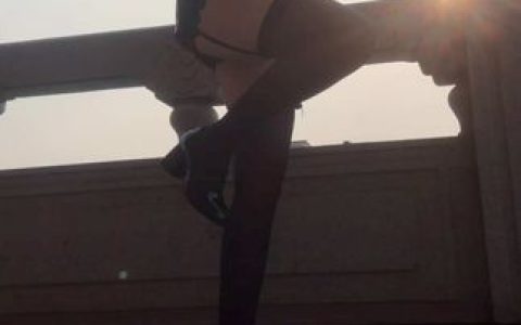 不呆猫二次元系列，艺术图片鉴赏