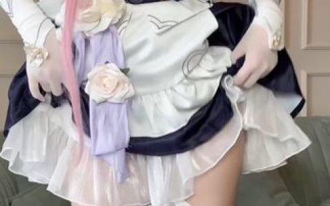 不呆猫灰丝御姐套图，付费下载资源大集合