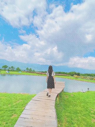 不呆猫完整作品合集，详细简介带你了解她！