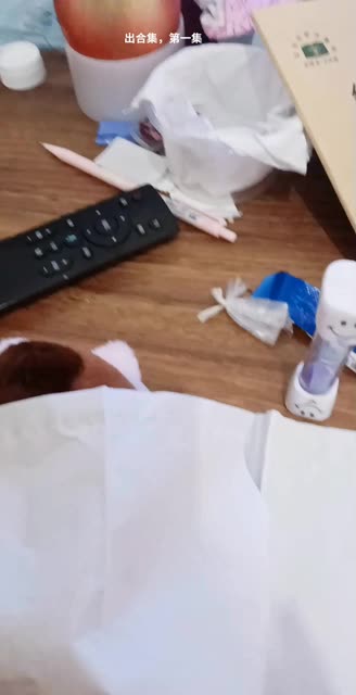 紧急企划(喵喵梓),个人资料与作品合集