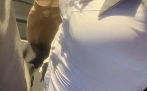 紧急企划内部定制作品，图集优秀模特转行惋惜