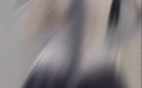 禅院熏的微博动态，最新资源更新