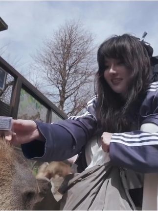 写真&微密圈合集下载(真爱版)&汇总,就是阿朱啊的作品合集