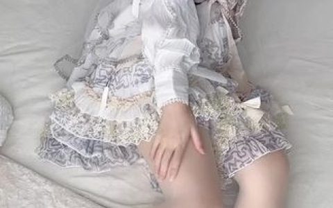 不呆猫（不槑猫）最全图片合集，精选资源