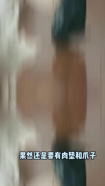 越南小姐姐ZinieQ合集,神乎其技的化妆技巧揭秘