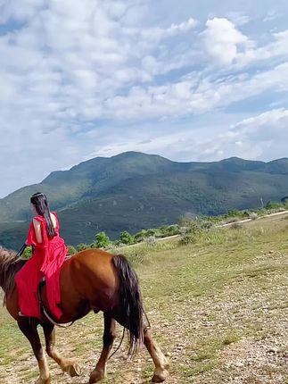 不呆猫西域风情,六宫粉黛无颜色!