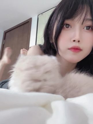 不呆猫与居家猫猫女友的故事,这么奇妙吗?