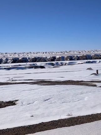 不呆猫西域风情,六宫粉黛无颜色!