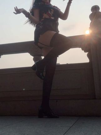 不呆猫完整作品合集，详细简介带你了解她！