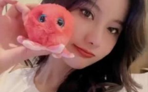 就是阿朱啊的摄影技巧，教你如何拍出好照片