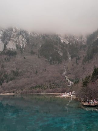 不呆猫二次元系列,艺术图片鉴赏