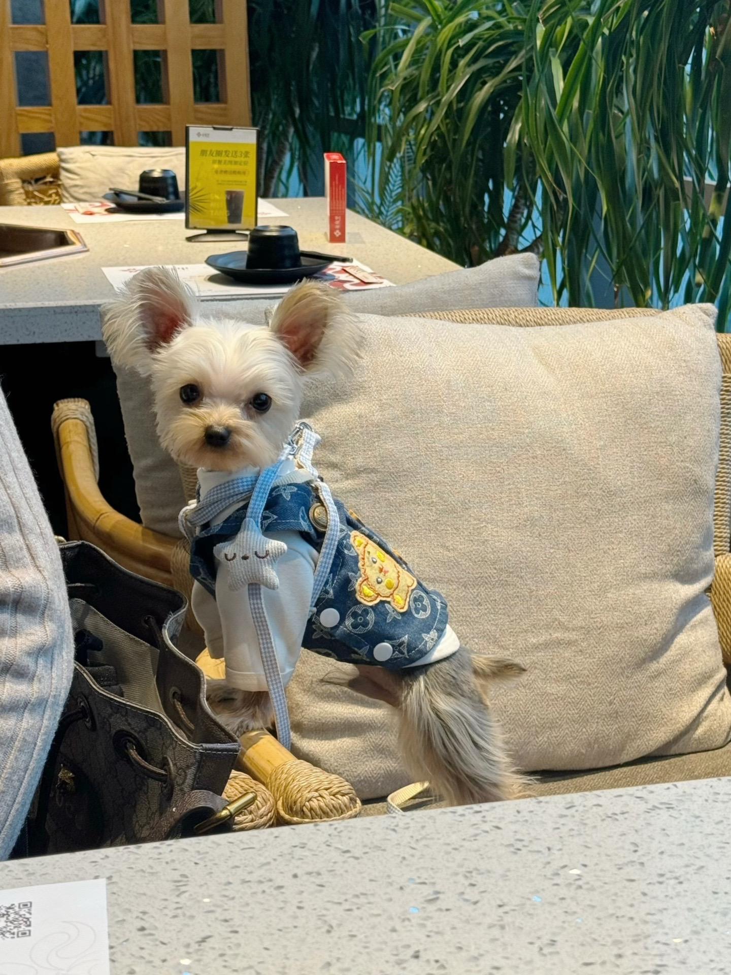 不爱笑的赛琳微密圈资源,她的高清无杂质写真全集