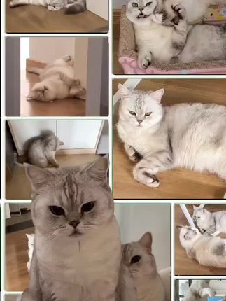 半半子_BANBANKO·纯白女仆cos作品，纯白女仆cos高清图片