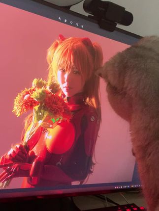 半半子_OL系列·OL様cos图包，OL系列cos高清图集