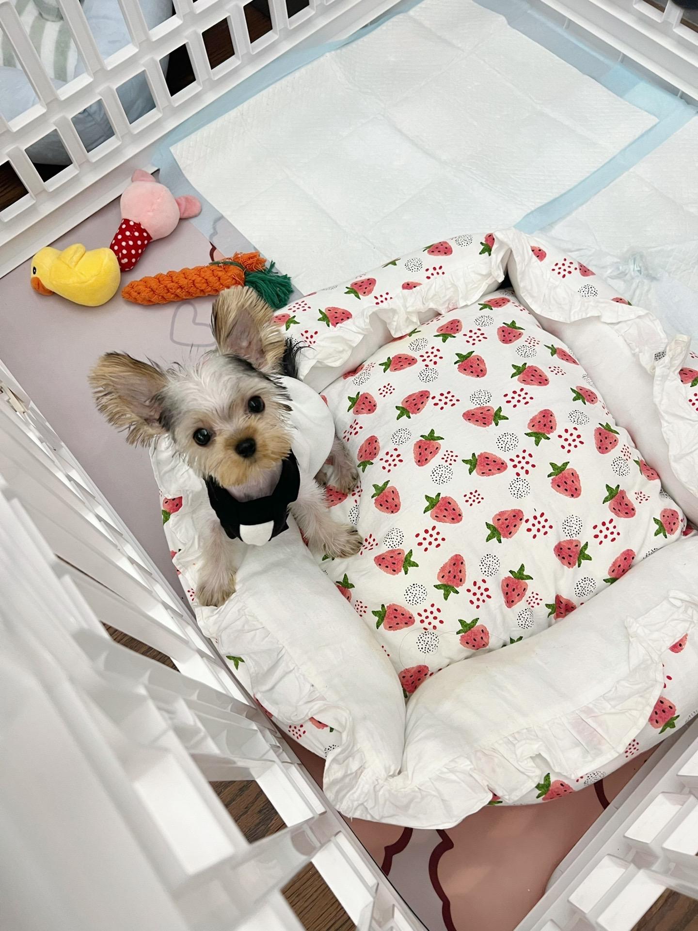 不爱笑的赛琳微密圈资源,她的高清无杂质写真全集