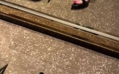 脸红Dearie的高铁之旅，最新系列图片火热发布！