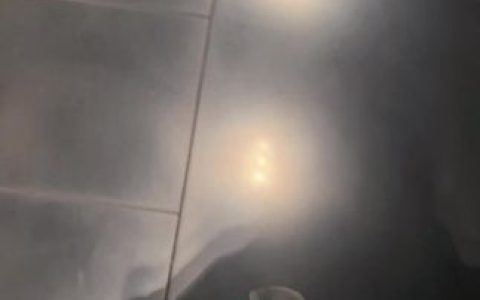 脸红Dearie个人资料曝光，她的真实身份你知道吗？