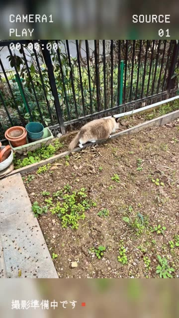 张贺玉OnlyFans图片曝光,探寻网红张老师的私密写真