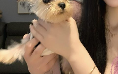 不爱笑的赛琳付费内容揭秘，微密圈中的精彩