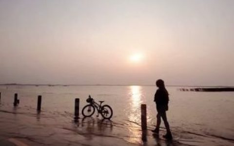 BANBANKO半半子_碧蓝航线·柴郡cos，柴郡cos高清正片合集