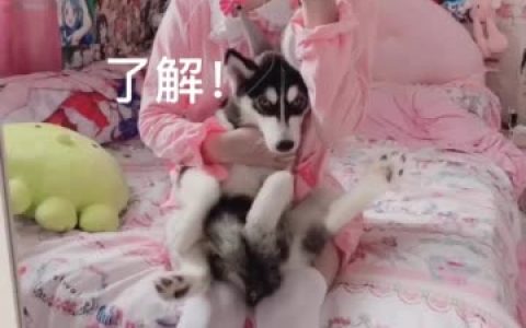 nyako喵子风纪委员图片照片众多人青春中的女主角，风纪委员高清图片