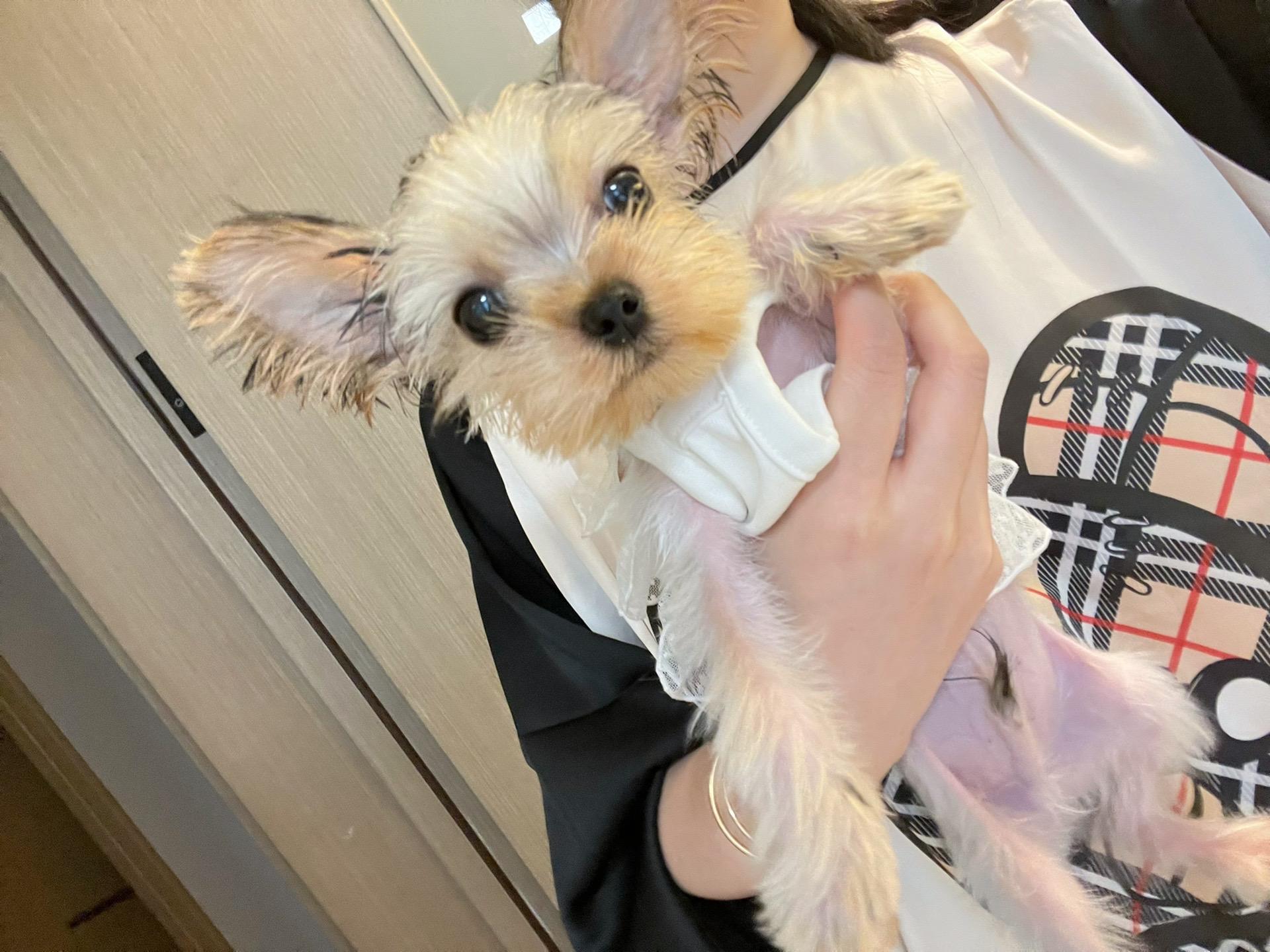 不爱笑的赛琳微密圈付费写真,百变造型与独家风采