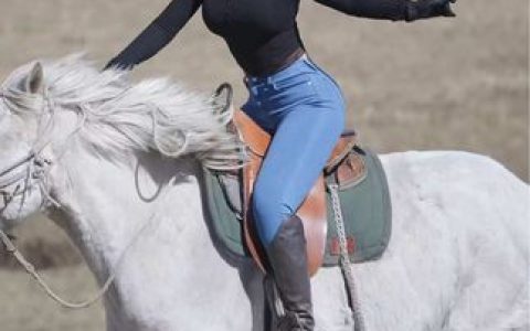 黄色紧身情趣，MIYA微密圈最新作品赏析