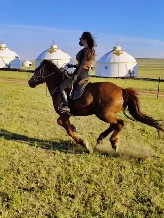 呼伦贝尔的骑马之旅，MIYA的美丽瞬间