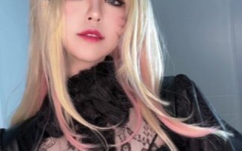 半半子_OL系列·OL様cos图包，OL系列cos高清图集