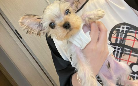 不爱笑的赛琳定制视频曝光，开心是唯一的标准