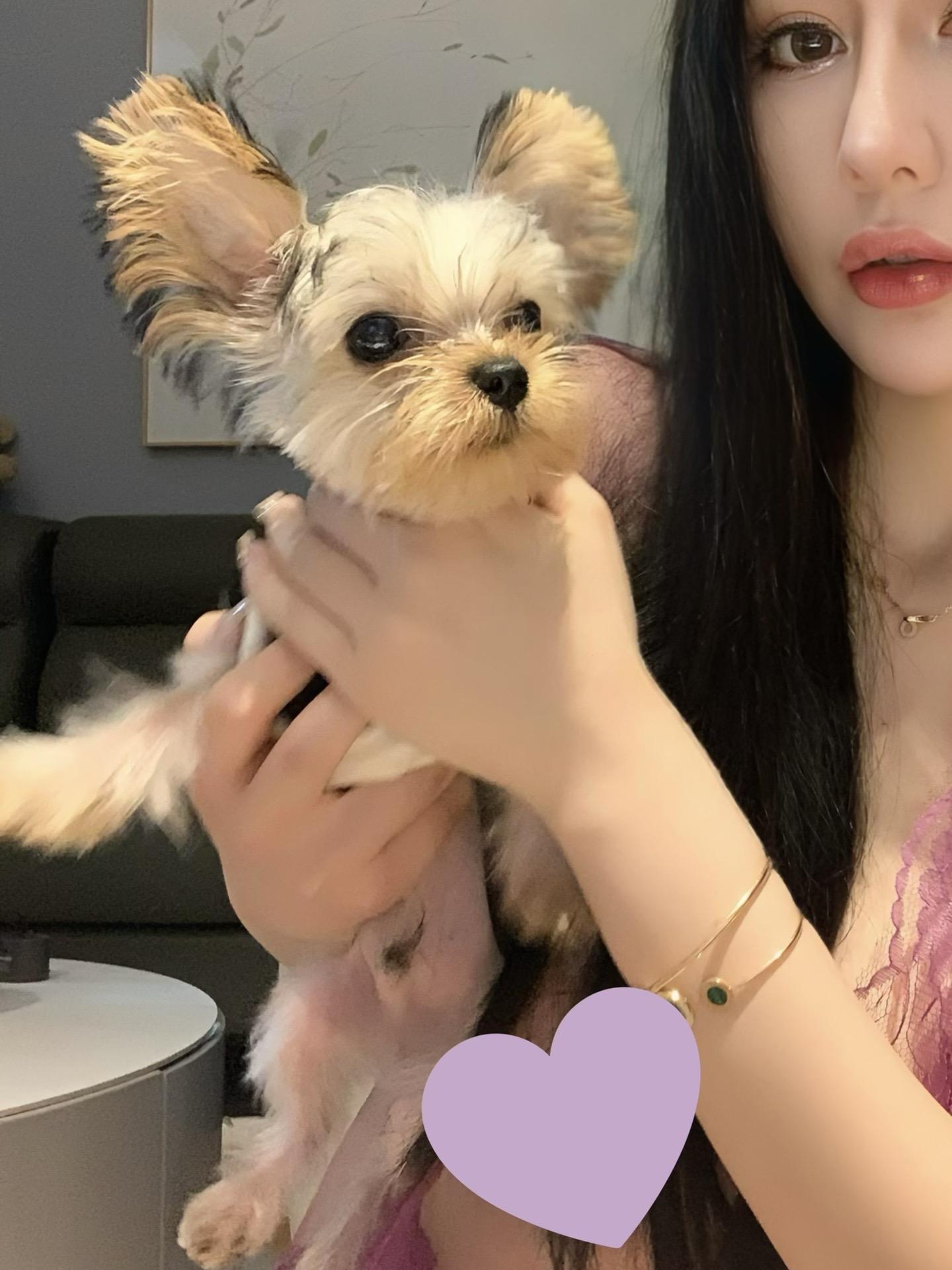 不爱笑的赛琳微密圈精选写真,高清无杂质的视觉盛宴