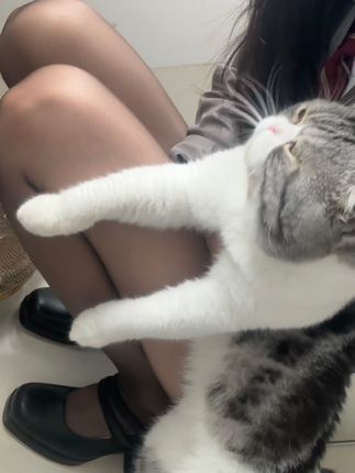 巨恶小锯鳄微密圈“越听越觉得自己牛”自信表达背后的故事