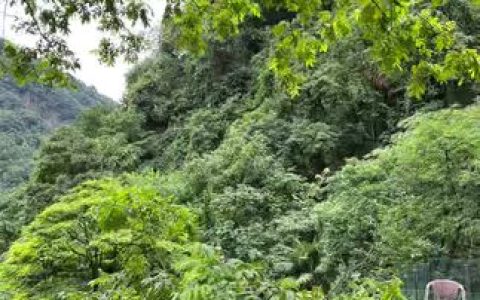 左公子666微博相册打包下载，微密圈资源限时分享