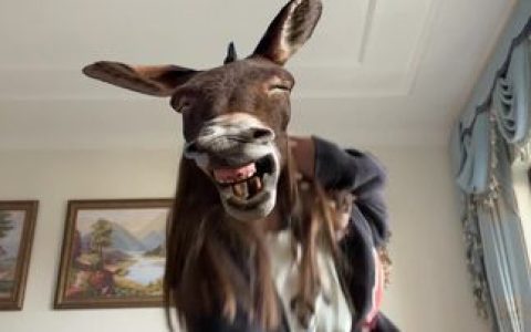 抖音VC微密圈在线观看，最新付费视频资源曝光