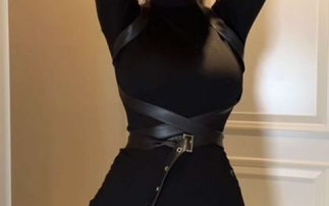 卡通百科老王的付费资源，她的作品合集下载