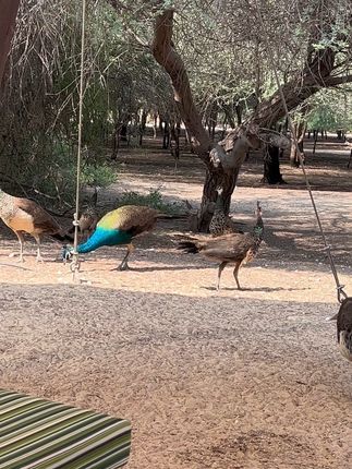 左公子666微密照片曝光,微密圈独家图片解锁