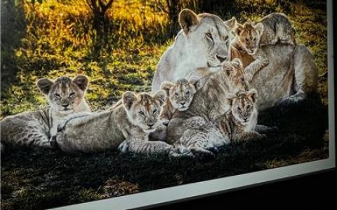 揭秘张鑫baby微博火爆原因，微密圈背后不为人知的故事