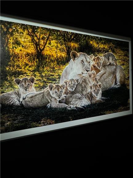 抖音张鑫baby微密圈免费图片，微胖身材引发全网关注