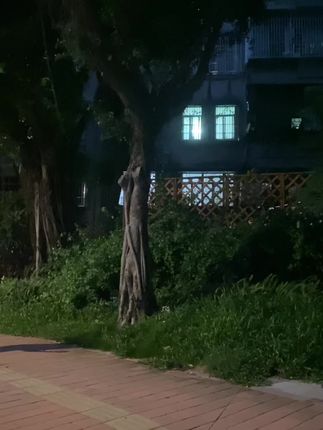 抖音VC微密圈在线观看，最新付费视频资源曝光