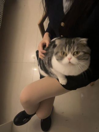 巨恶小锯鳄微密圈作品合集,付费资源解锁全攻略