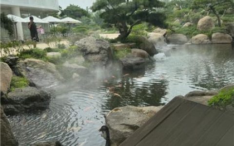 抖音张鑫baby微密圈免费图片，微胖身材引发全网关注