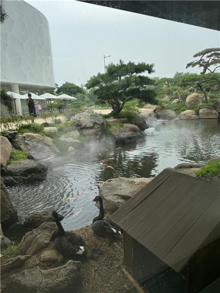 抖音张鑫baby微密圈免费图片，微胖身材引发全网关注