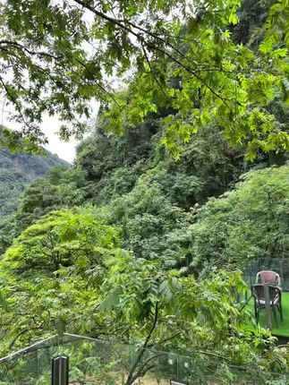 [微密圈]左公子666图集系列打包，视频资源百度云下载